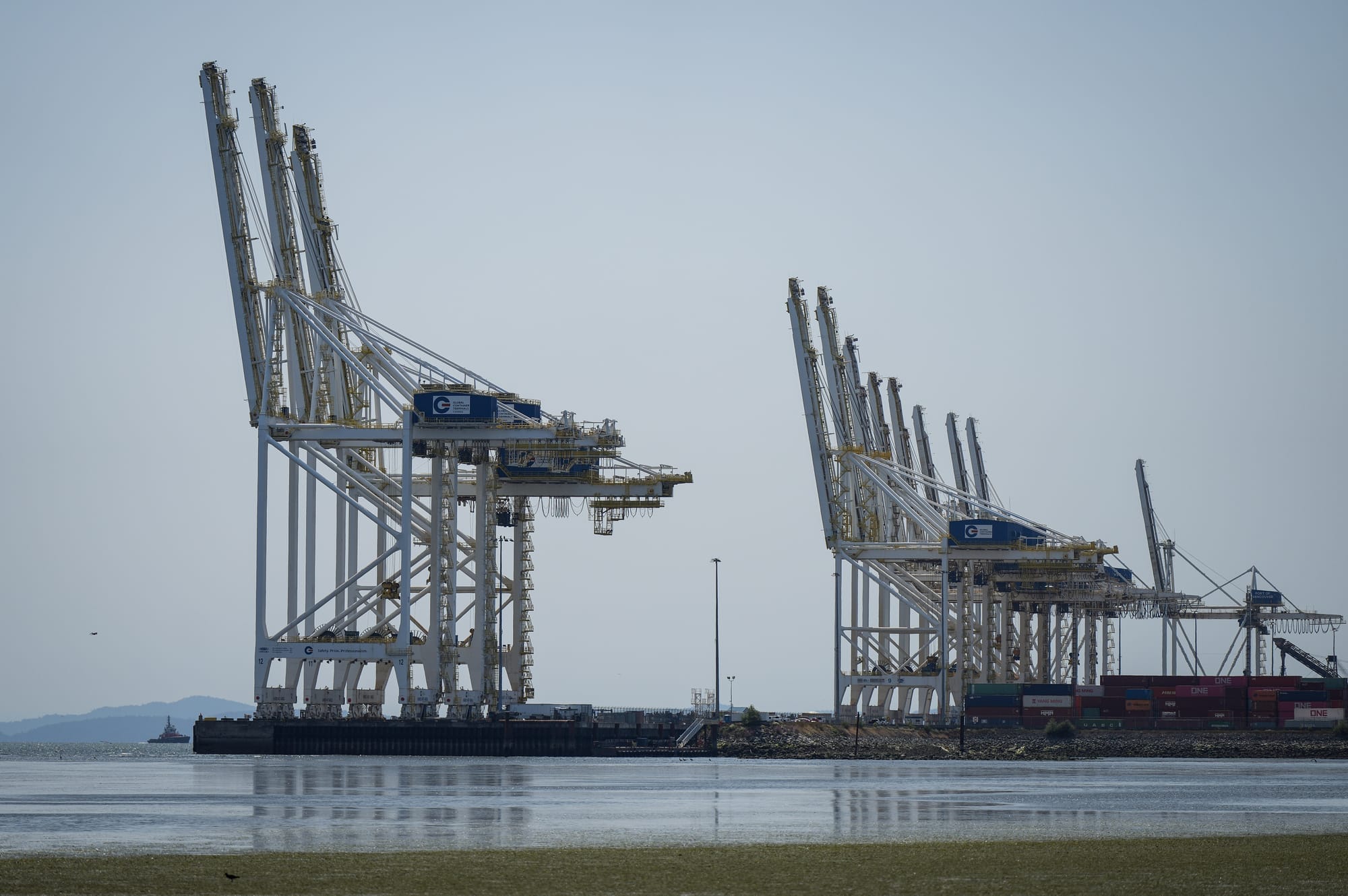 A view of cranes at a port in Delta, B.C.