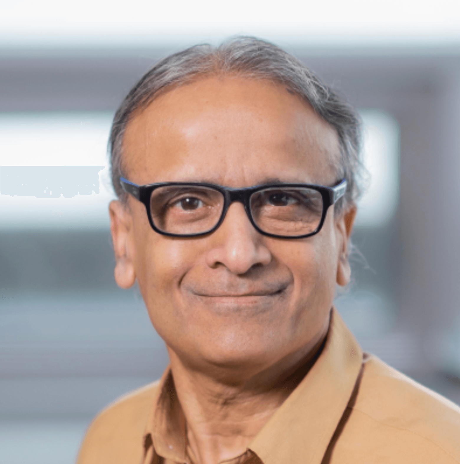 Laks V.S. Lakshmanan