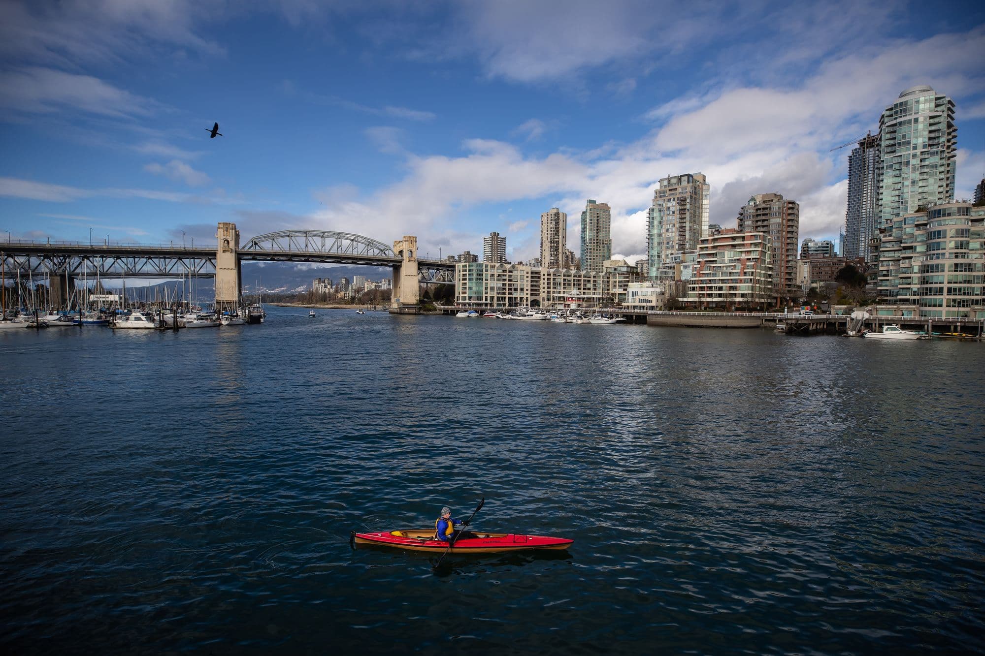 Article feature image