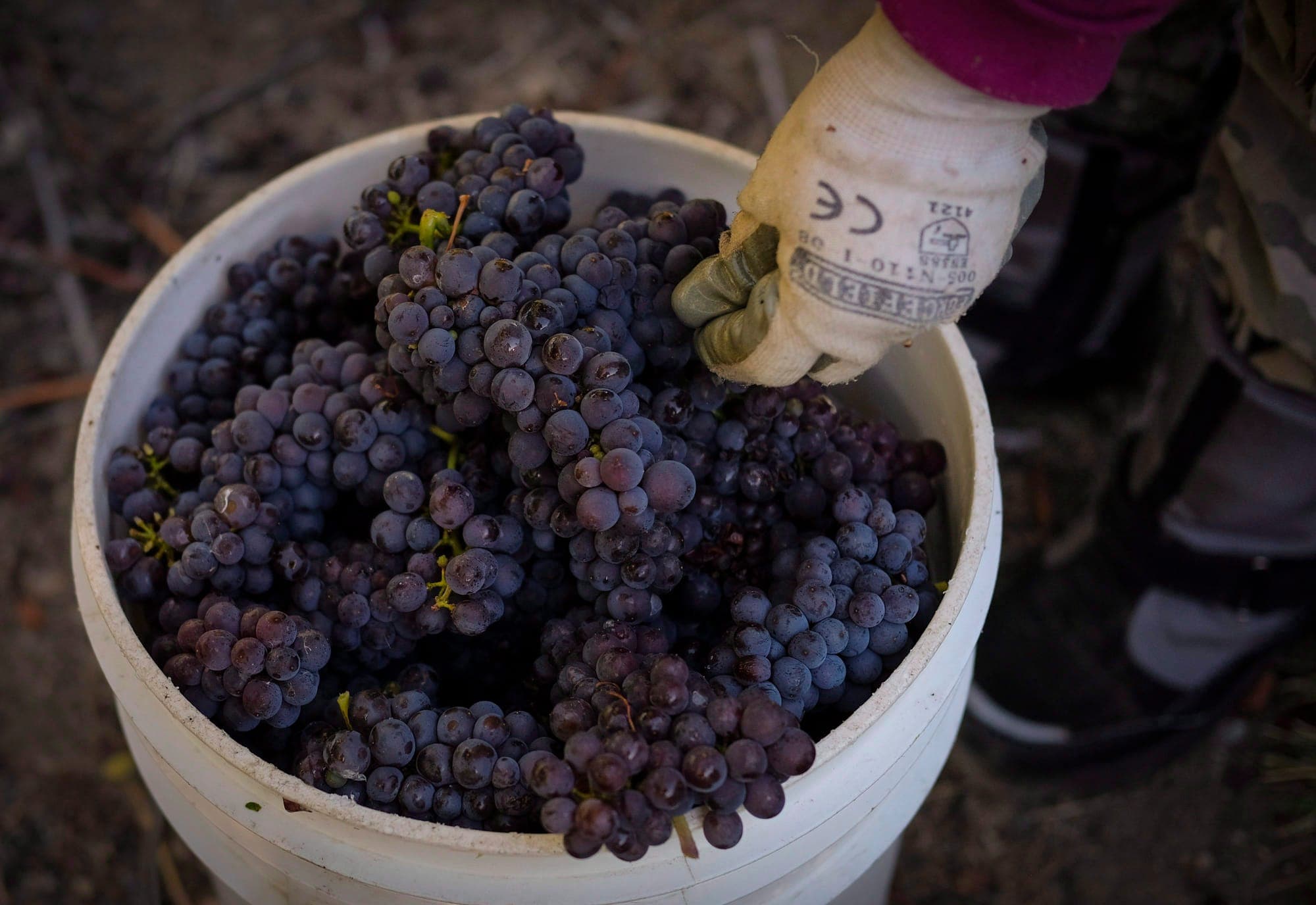 Article feature image