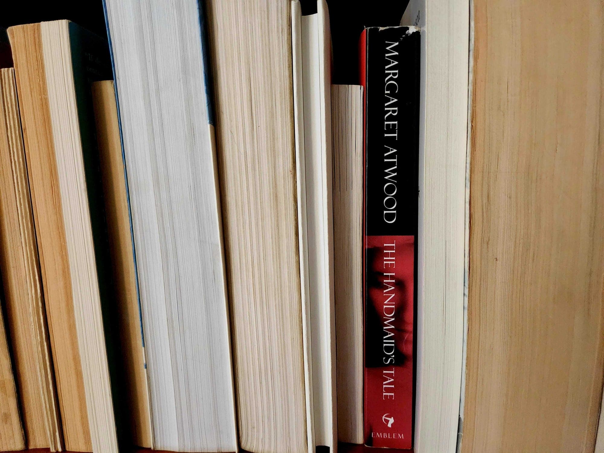 Article feature image