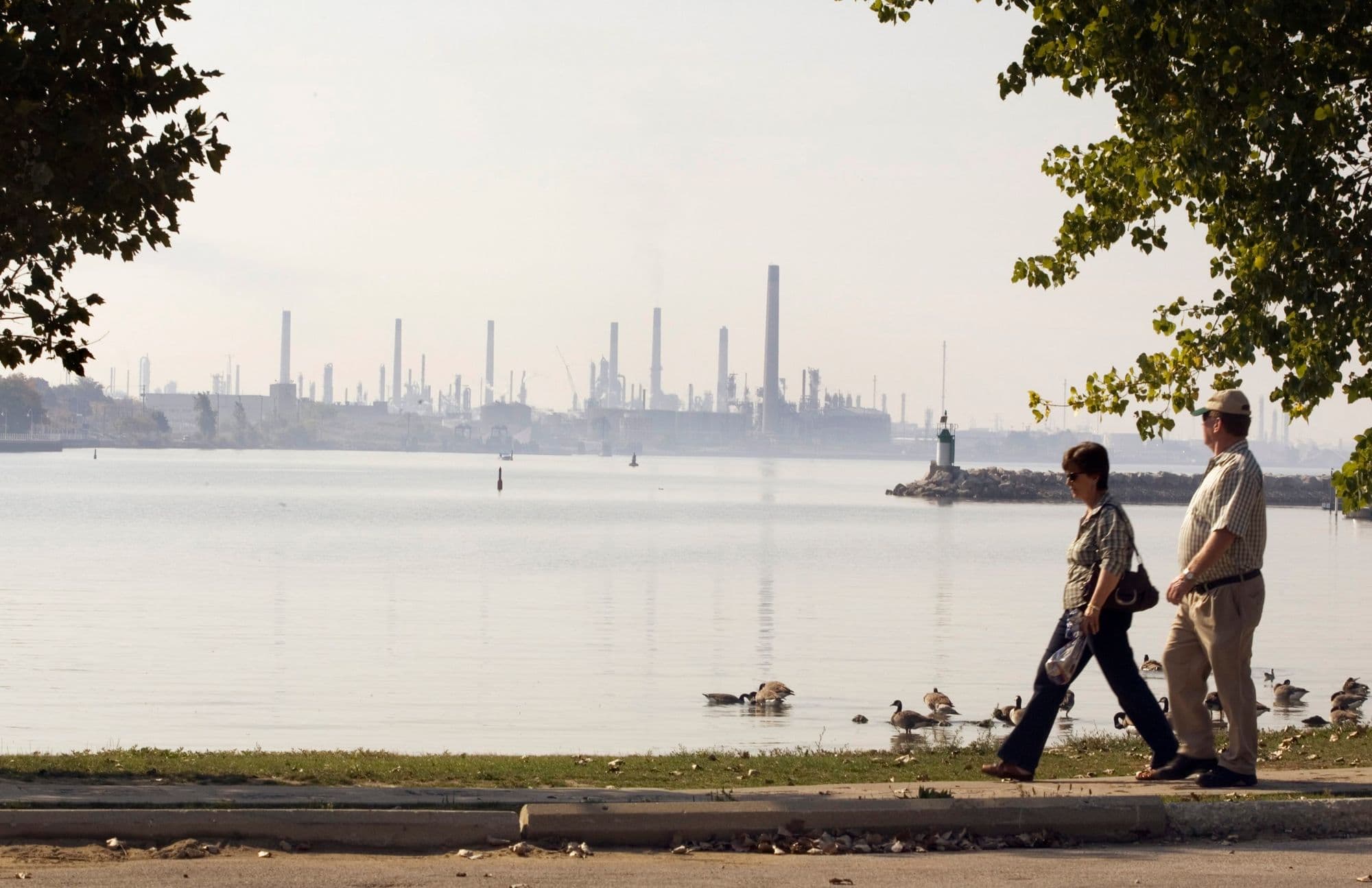 Article feature image