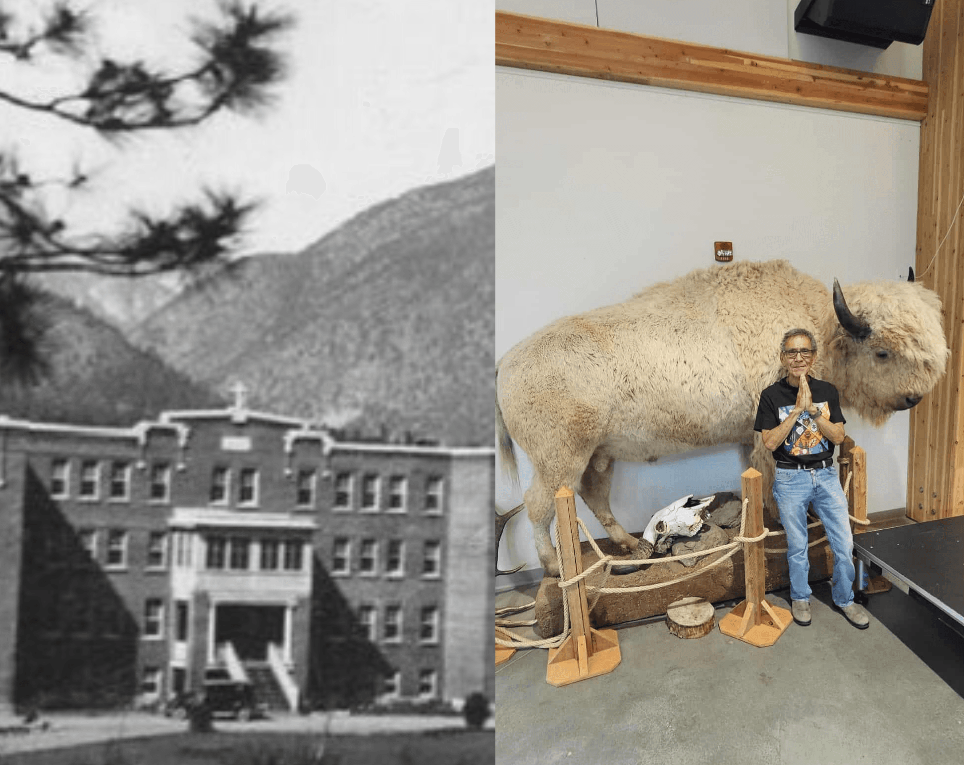 From the left, a large building with a cross on top of the roof and mountains in the background. From the right, a man with grey hair poses in front of a stuffed white buffalo at a museum