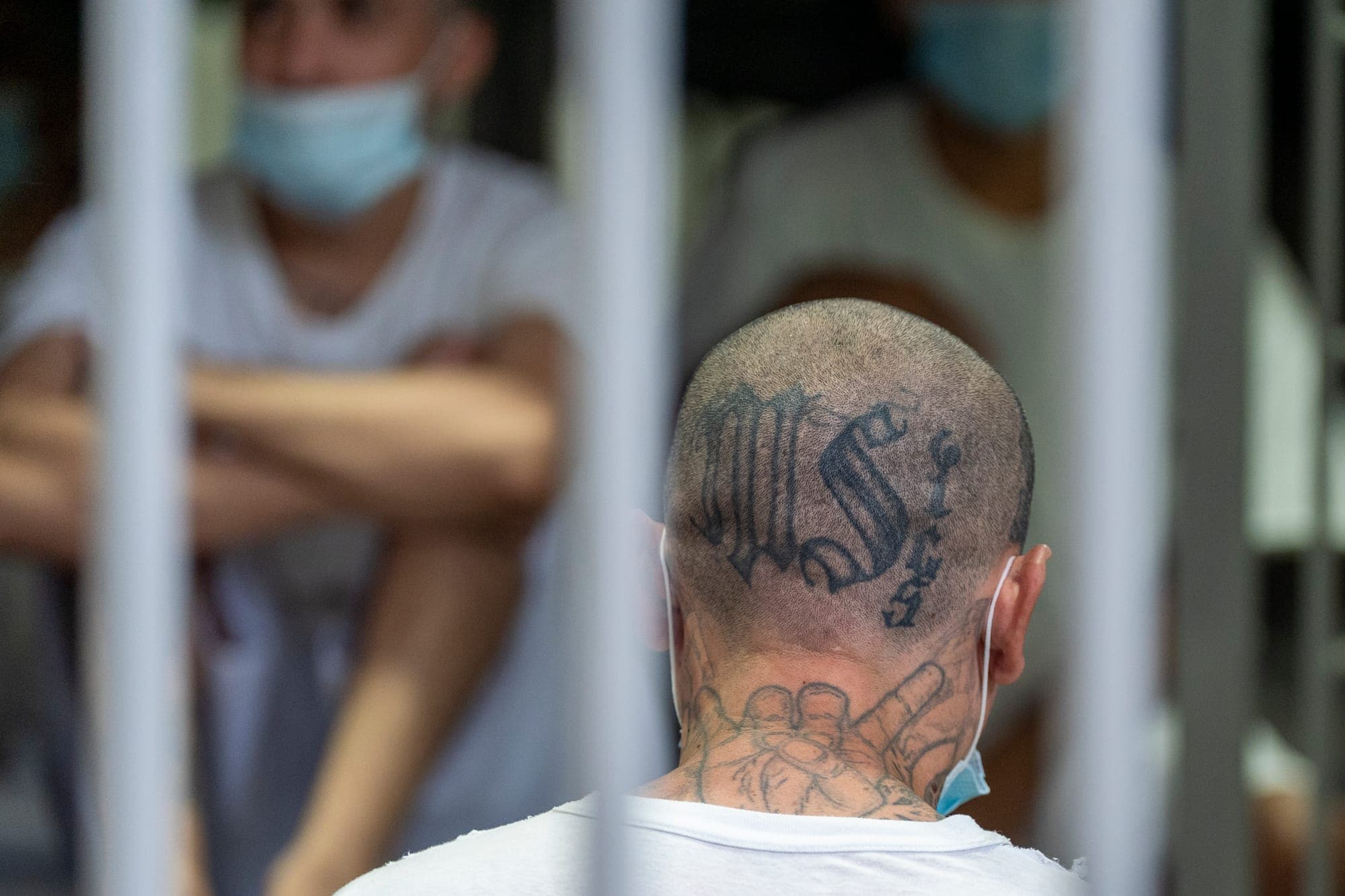 Through bars, we see the letters "MS" tattooed on the back of a male prisoner's head.