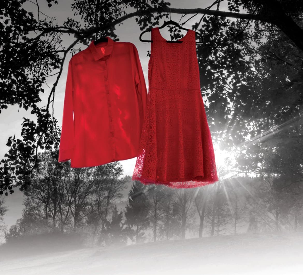 A red shirt and dress hang on a tree.