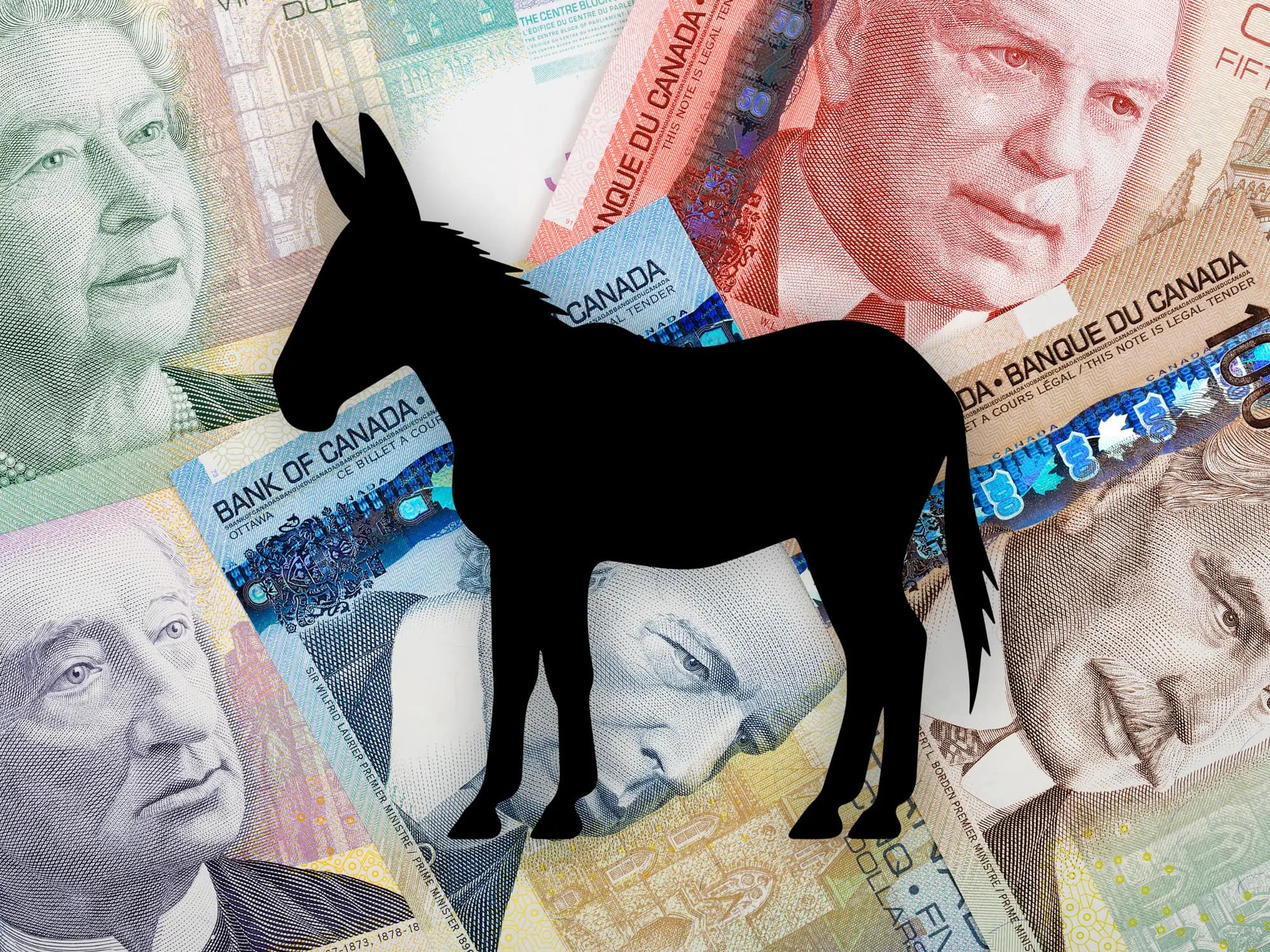 An illustration shows the silhouette of a mule against a backdrop of Canadian currency.