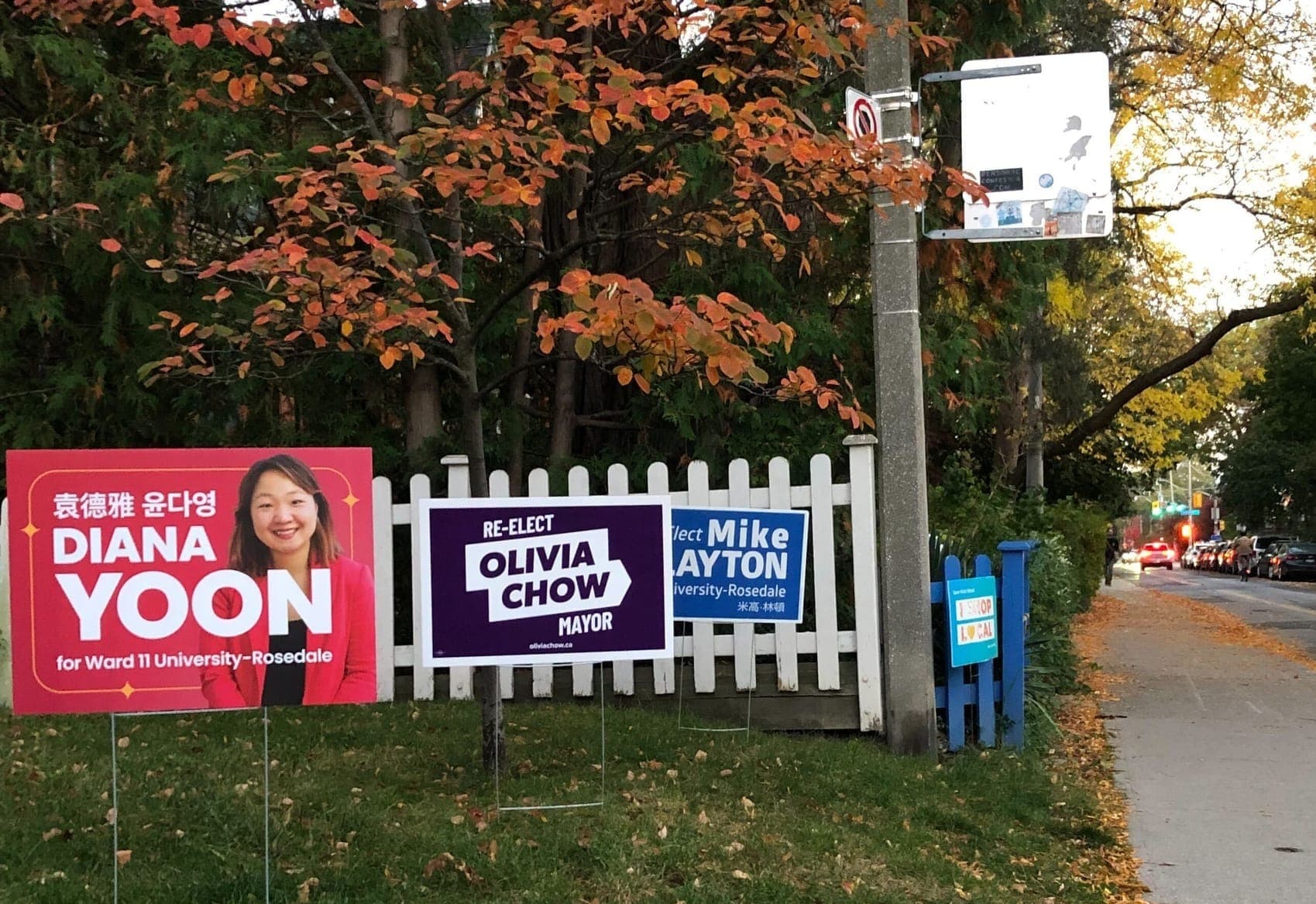 Political campaign signs for candidates Diana Yoon, Olivia Chow and Mike Layton are shown on a grassy corner.